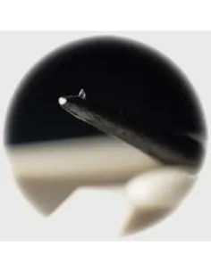 JICO N44 KUROGAKI NUDE 2