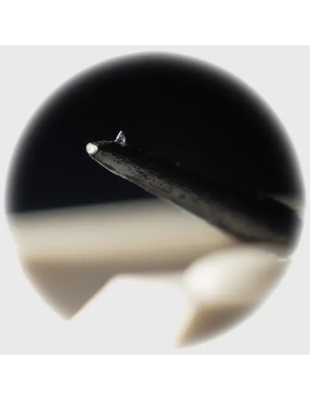 JICO N44 KUROGAKI NUDE