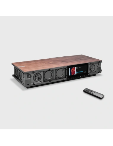 Cambridge Audio EVO ONE