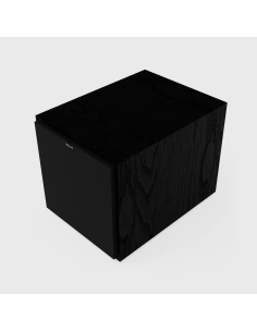 Klipsch R-101SW - Subwoofer attivo 2