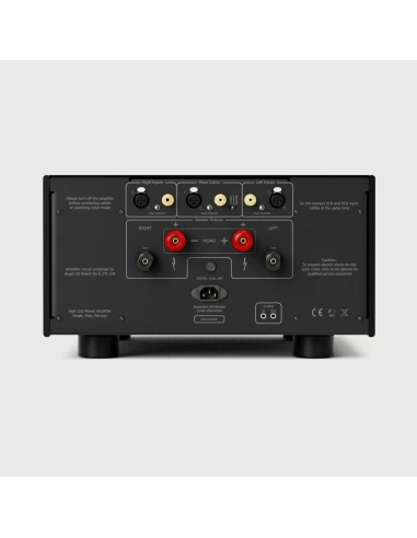 Hegel H30A - Amplificatore Finale di Riferimento