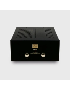 Audio Note P1 SE - Amplificatore finale di potenza