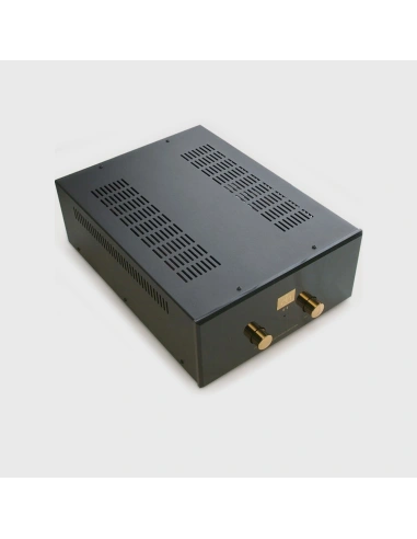 Audio Note P1 SE - Amplificatore finale di potenza