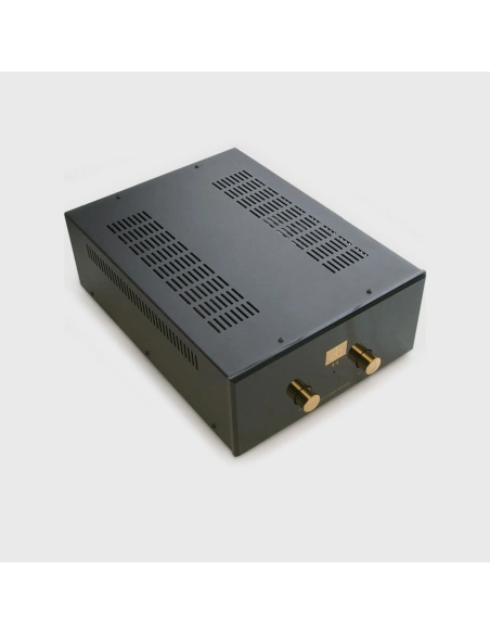 Audio Note P1 SE - Amplificatore finale di potenza