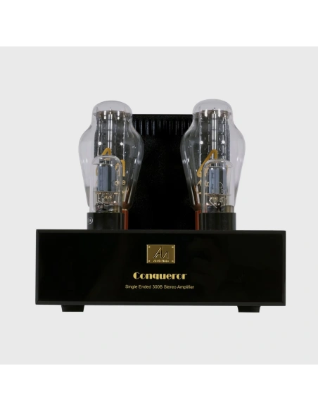 Audio Note Conqueror - Amplificatore finale di potenza