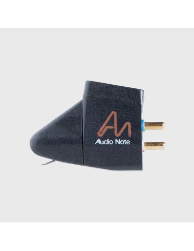 Audio Note IQ 1 - Testina MM