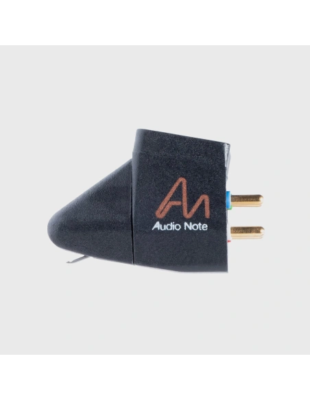 Audio Note IQ 1 - Testina MM