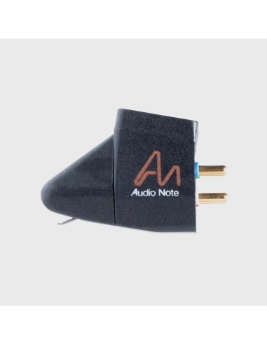 Audio Note IQ 2 - Testina MM