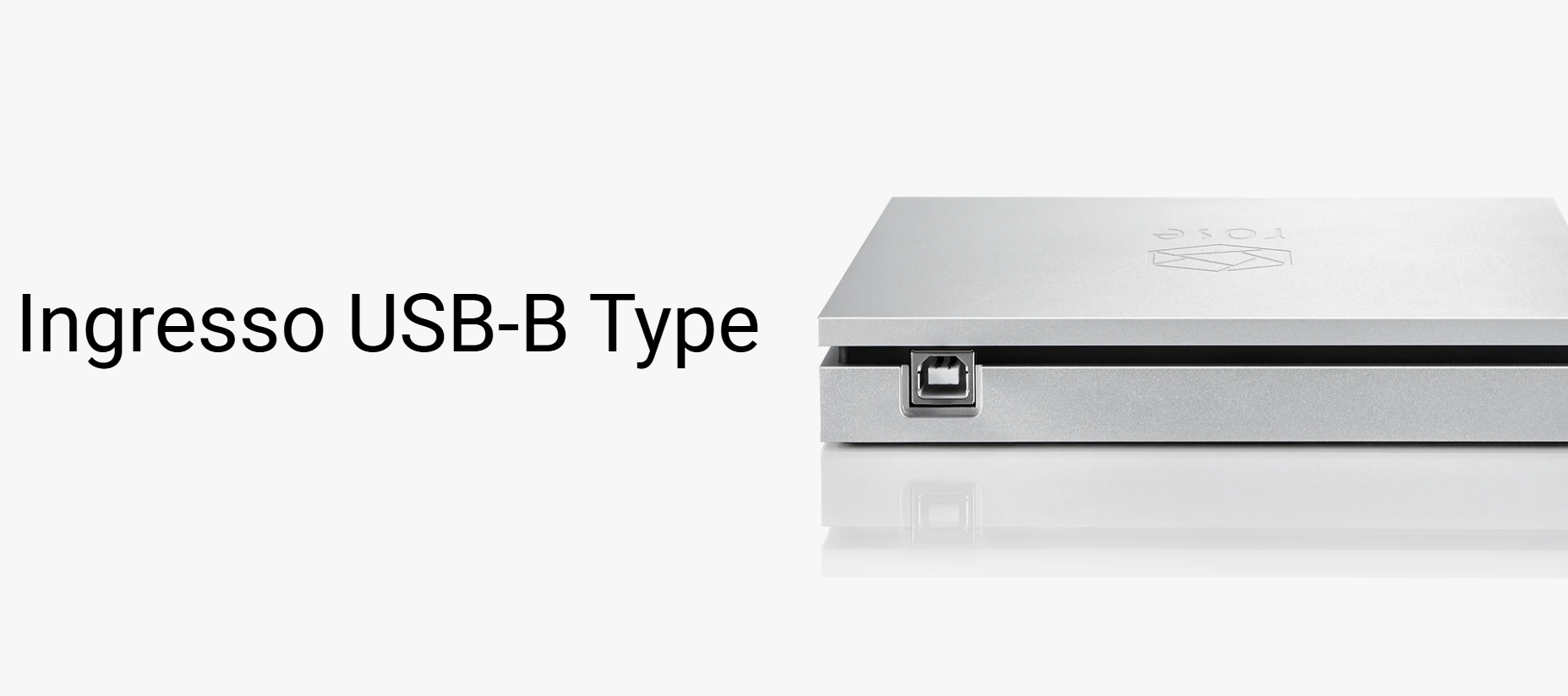 Porta USB del Rosa RSA780