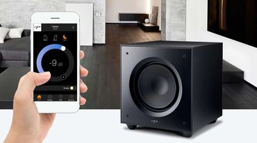 paradigm_defiance_x12_subwoofer.jpg